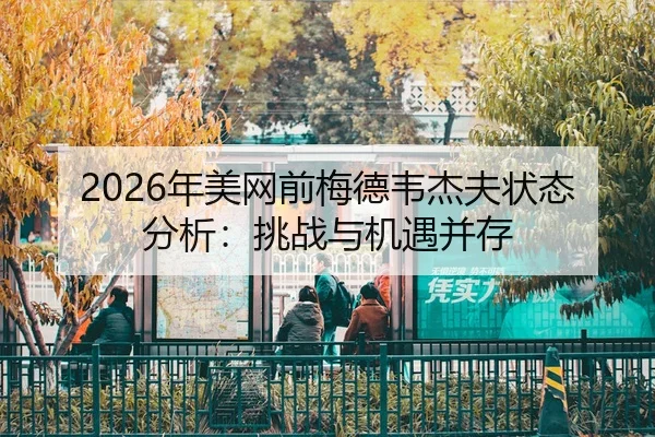 nian-mei-wang-qian-mei-de-wei-jie-fu-zhuang-tai-fen-xi-tiao-zhan-yu-ji-yu-bing-cun-2-331.jpg