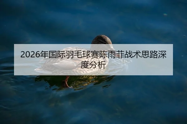 nian-guo-ji-yu-mao-qiu-sai-chen-yu-fei-zhan-shu-si-lu-shen-du-fen-xi-2-247.jpg